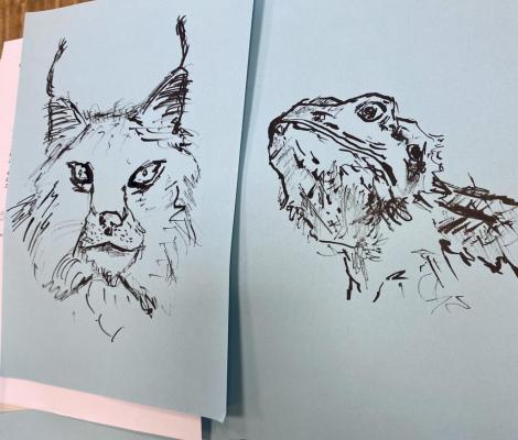 Tierskizzen von Design-Schülern aus Friedrichshafen